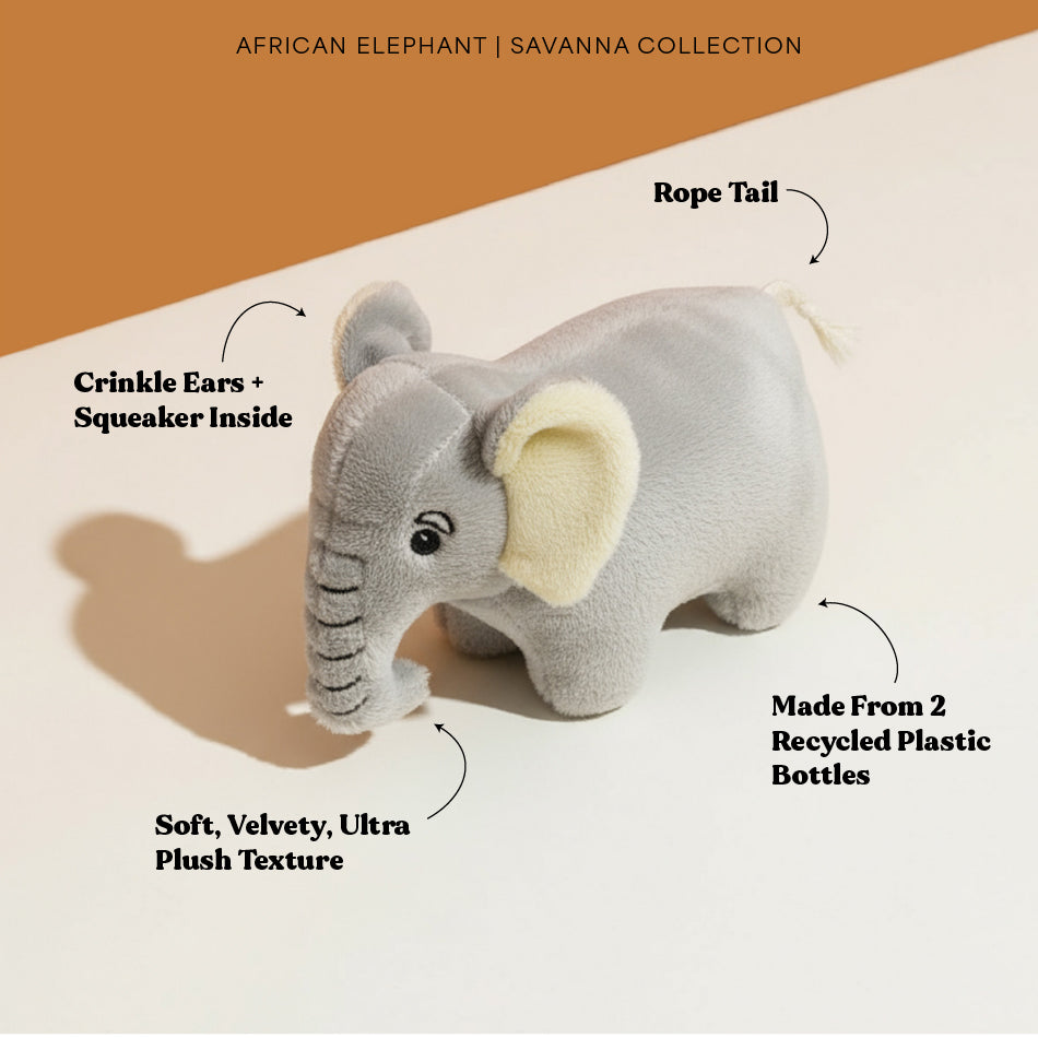 Ellie – Playology