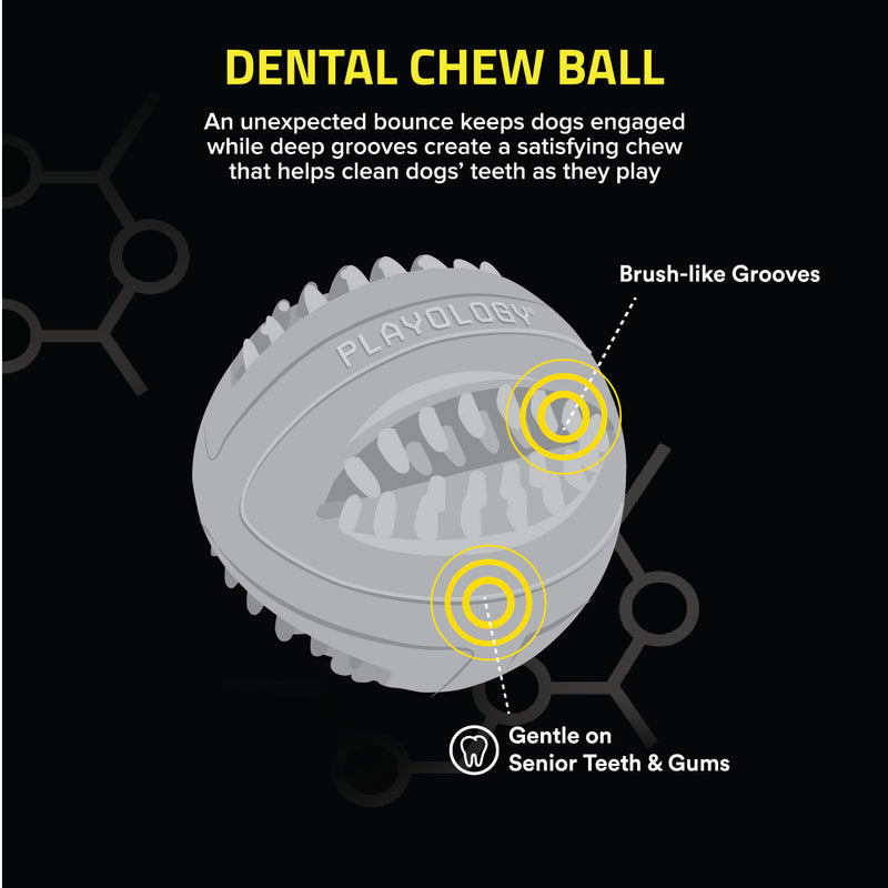 Dental Chew Ball