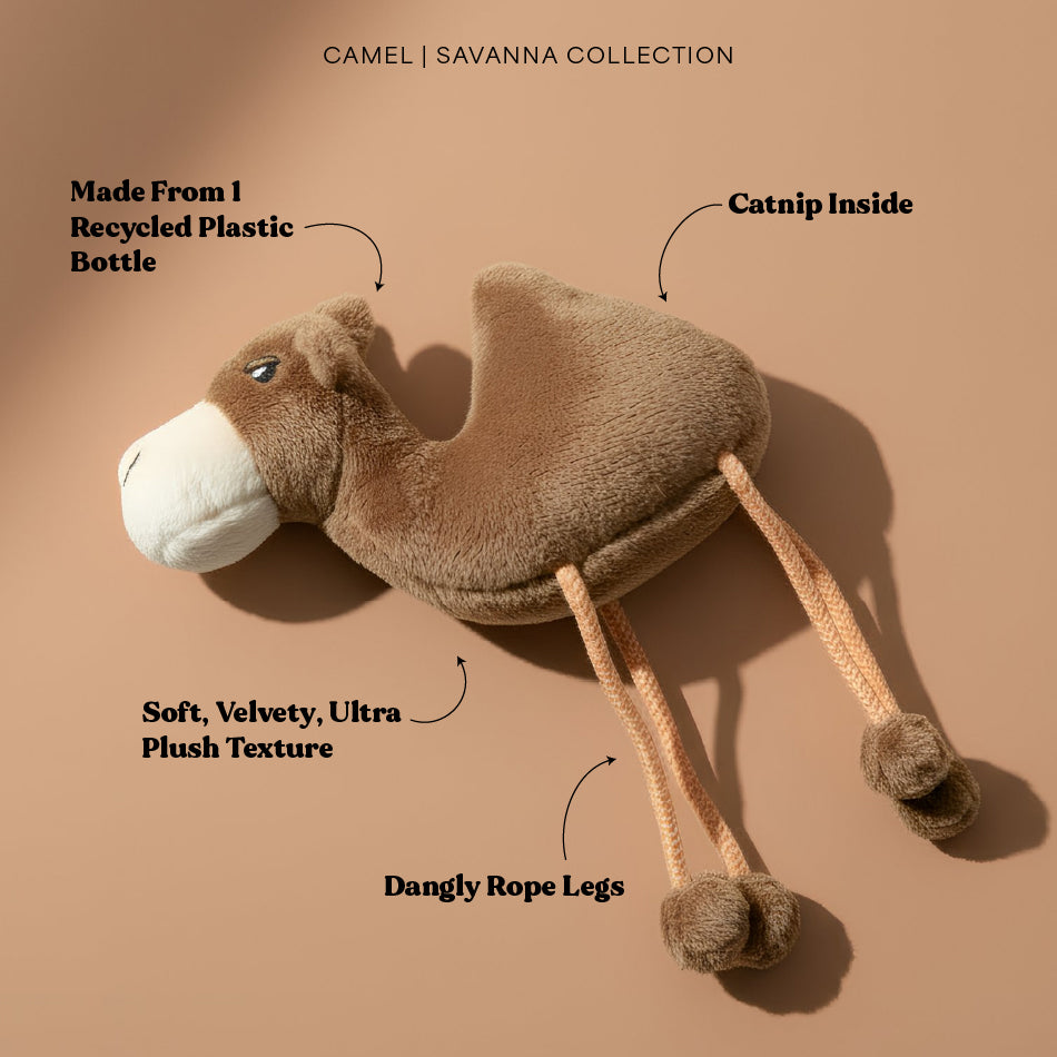 camel♡40%オフ♡新品♡電動パーシー Grrreen Calvin the Camel - Cat – Playology