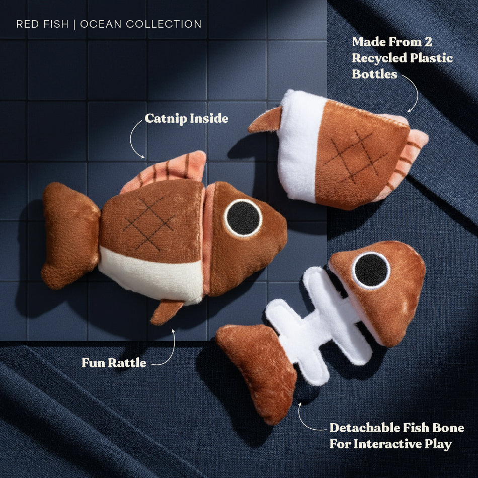 Frankie the Fish Puzzle – Playology