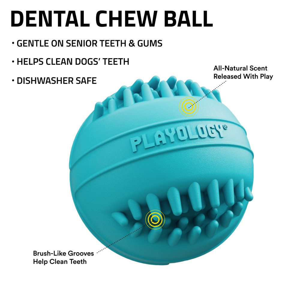 Playology Dental Chew Ball Dog Toy Peanut Butter Small