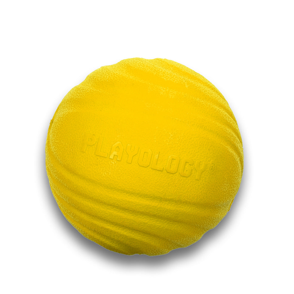 Dual Layer Ball – Playology