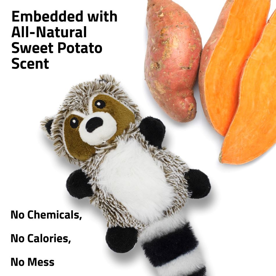 animal planet dog squeaky toys racoon Plush Raccoon – Playology