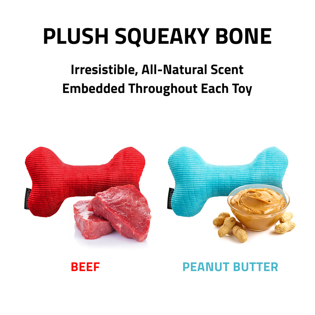 Squeaker Dog Toy - Hairmes Bone