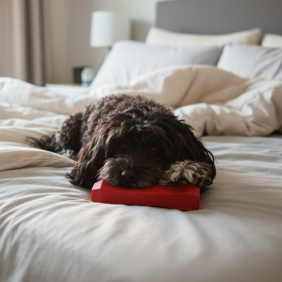 Beating The Winter Blues