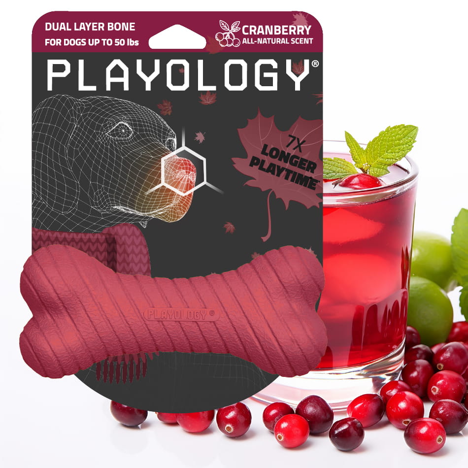Playology Dual Layer Bone Cranberry Medium packaging