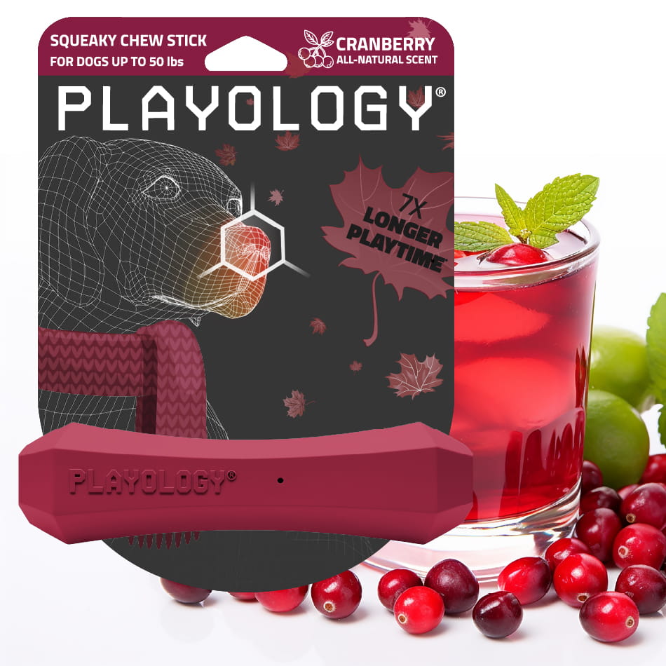 Playology Squeaky Chew Stick Cranberry Medium packaging