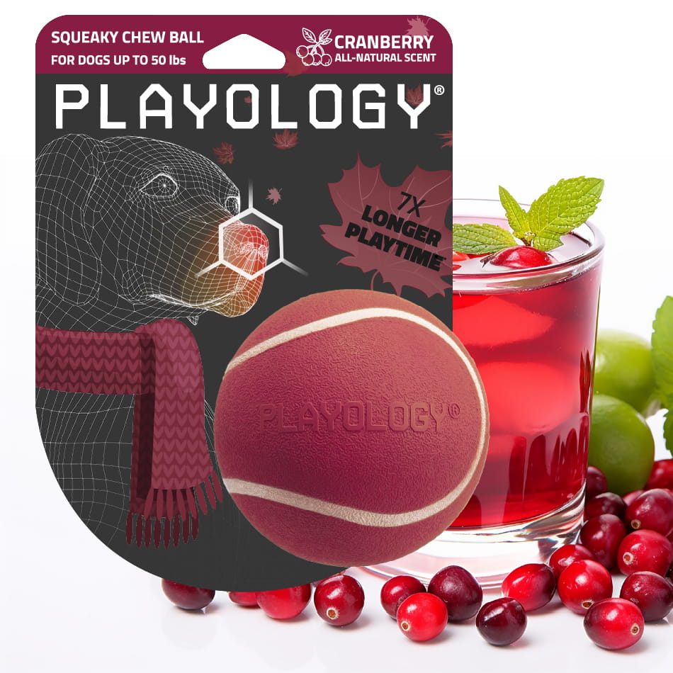 Playology Squeaky Chew Ball Cranberry Medium packaging