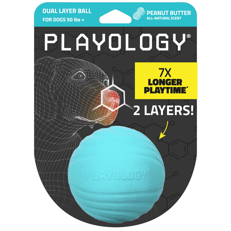 Dual Layer Ball