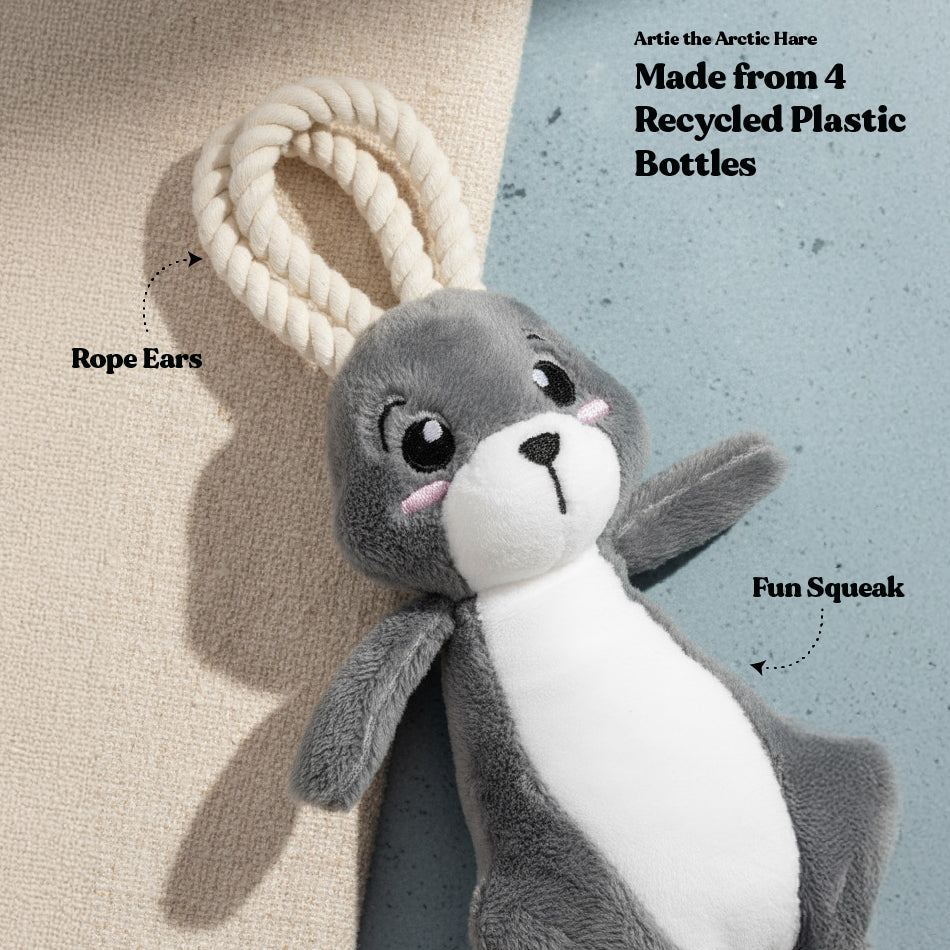 
                  
                    Artie the Arctic Hare
                  
                