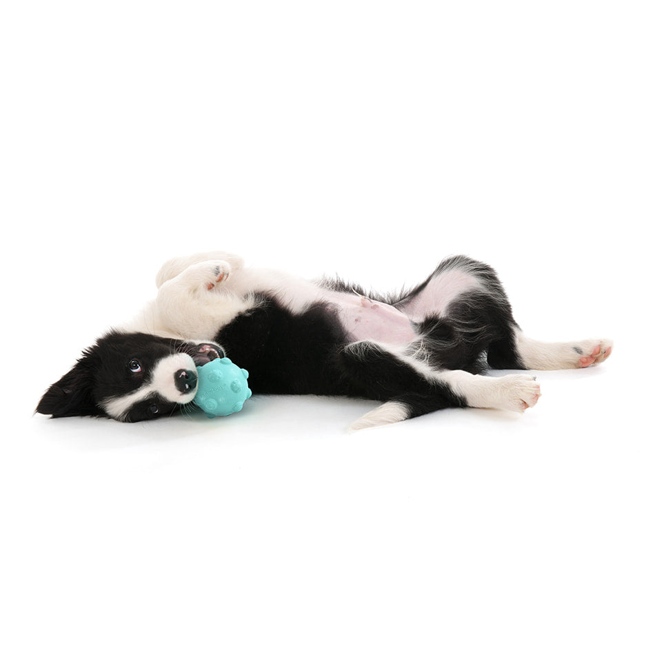 
                  
                    Teething Ball
                  
                