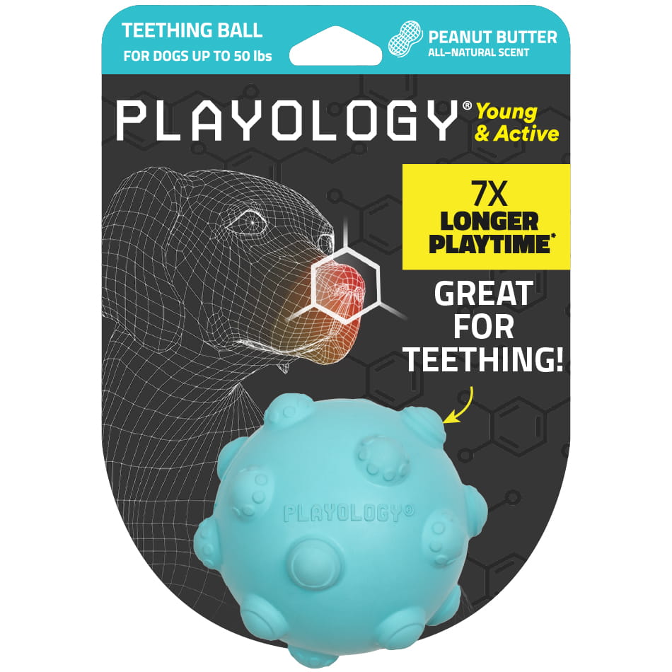 Teething Ball