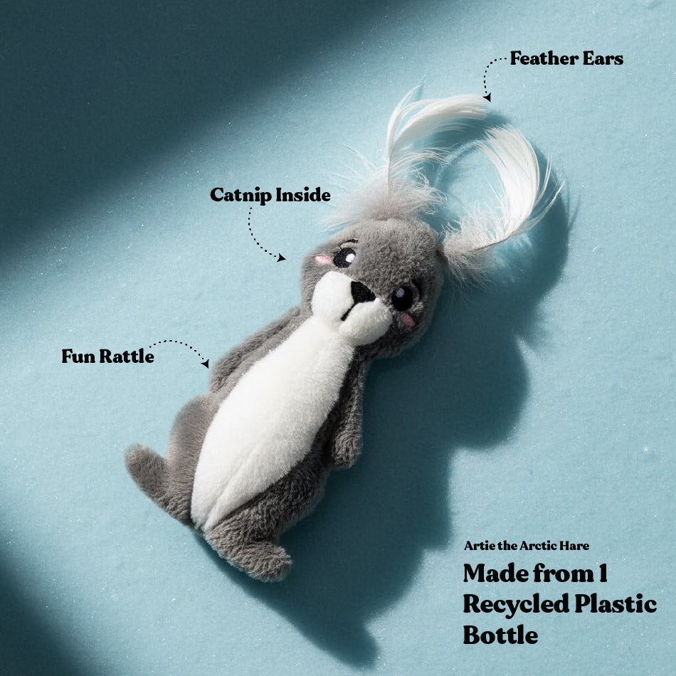 
                  
                    Artie the Arctic Hare
                  
                