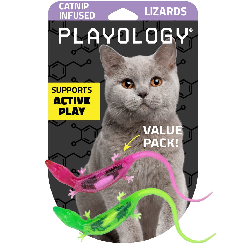 Lizards with Bugs