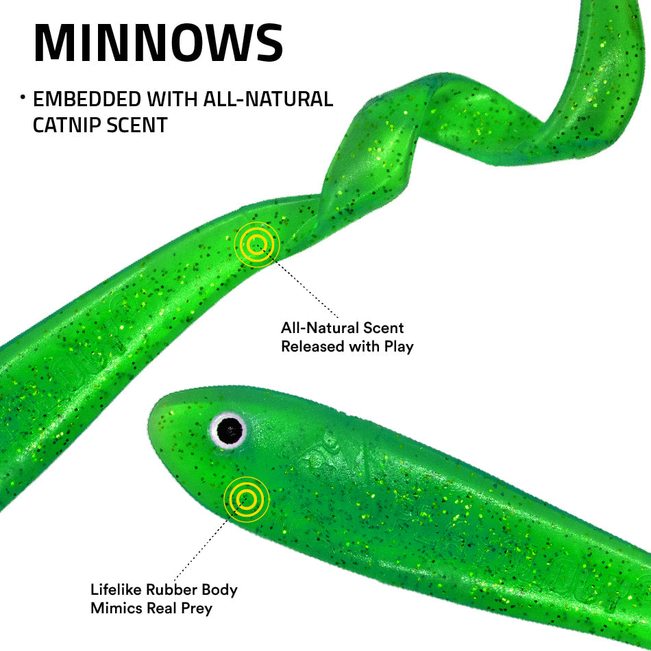 
                  
                    2-pack Minnows
                  
                
