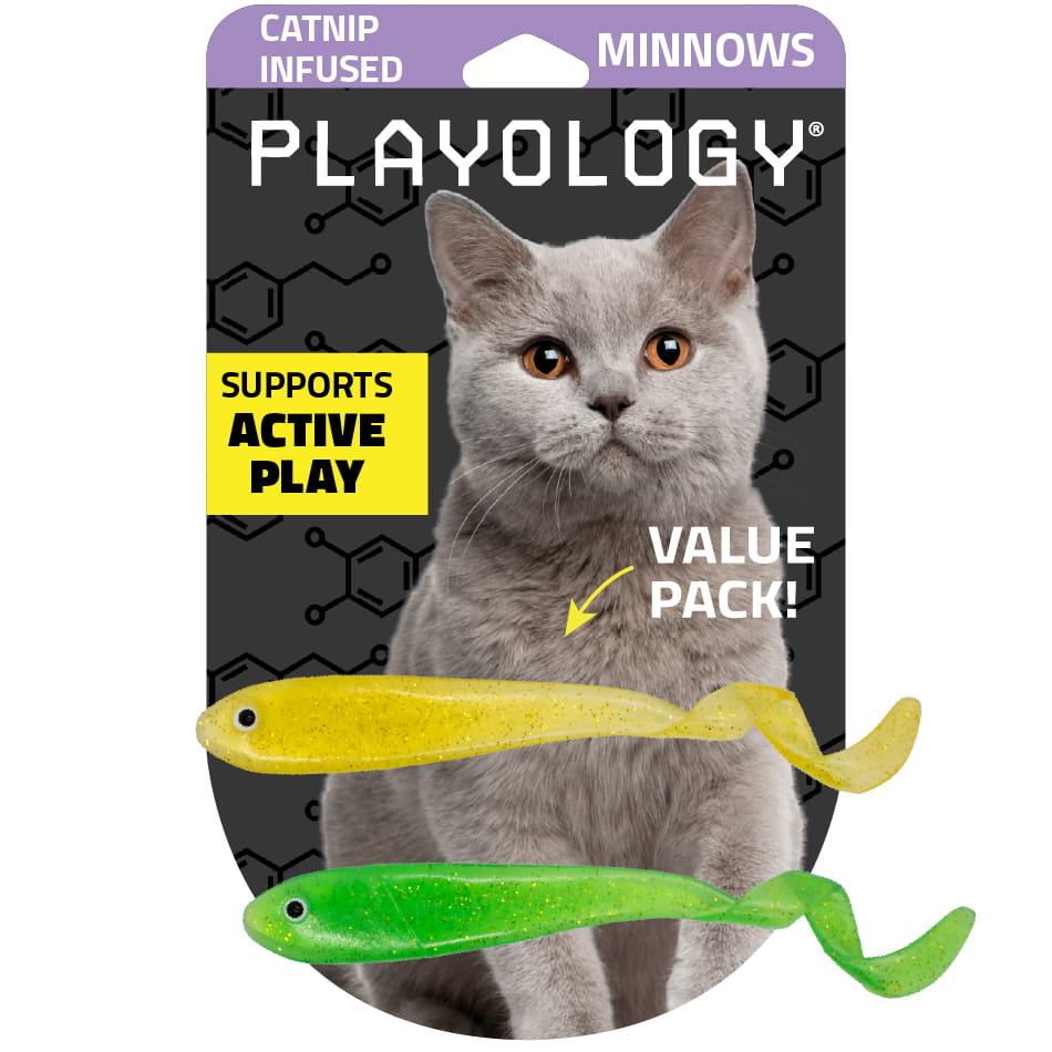 Minnows 2-pack