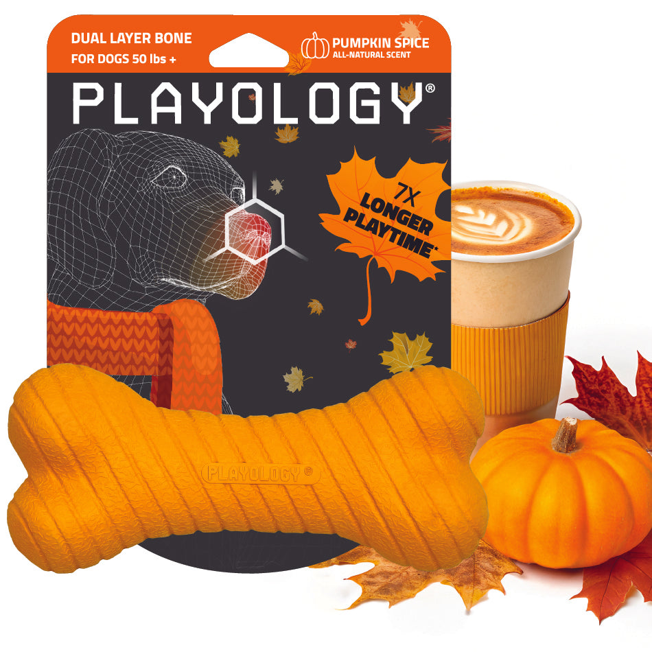 
                  
                    Orange bone-shaped dog toy with pumpkin spice scent, Playology brand packaging, next to a pumpkin, autumn leaves, and a latte with leaf latte art. For dogs 50 lbs and over.
                  
                