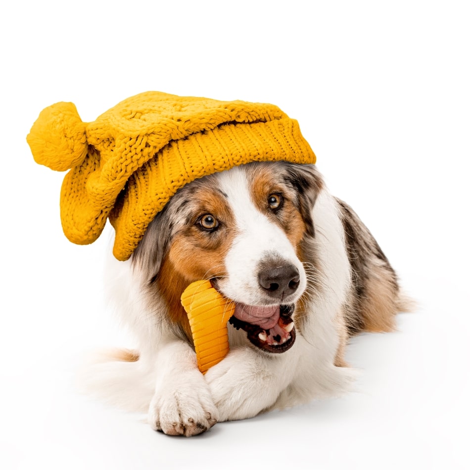 
                  
                    Dual Layer Bone | Pumpkin Spice
                  
                