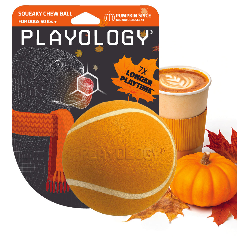 
                  
                    Squeaky Chew Ball | Pumpkin Spice
                  
                