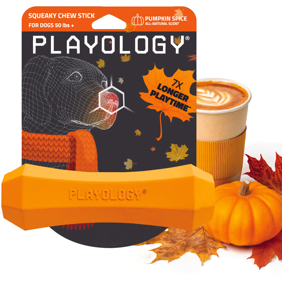 Squeaky Chew Stick | Pumpkin Spice