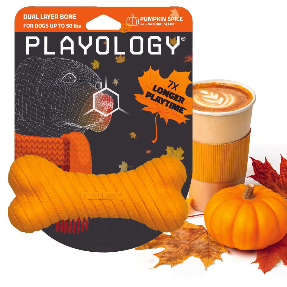 Orange bone-shaped dog toy with pumpkin spice scent, Playology brand packaging, next to a pumpkin, autumn leaves, and a latte with leaf latte art. For medium dogs up to 50 lbs.
