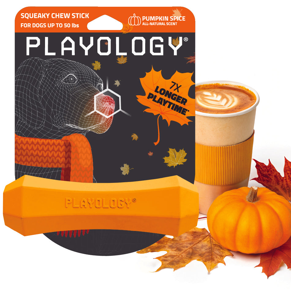 
                  
                    Squeaky Chew Stick | Pumpkin Spice
                  
                