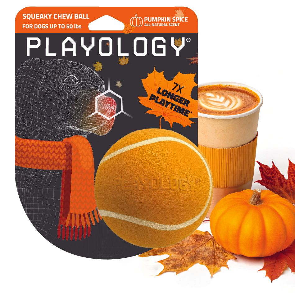 Squeaky Chew Ball | Pumpkin Spice