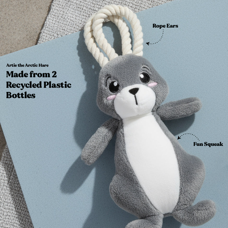 
                  
                    Artie the Arctic Hare
                  
                