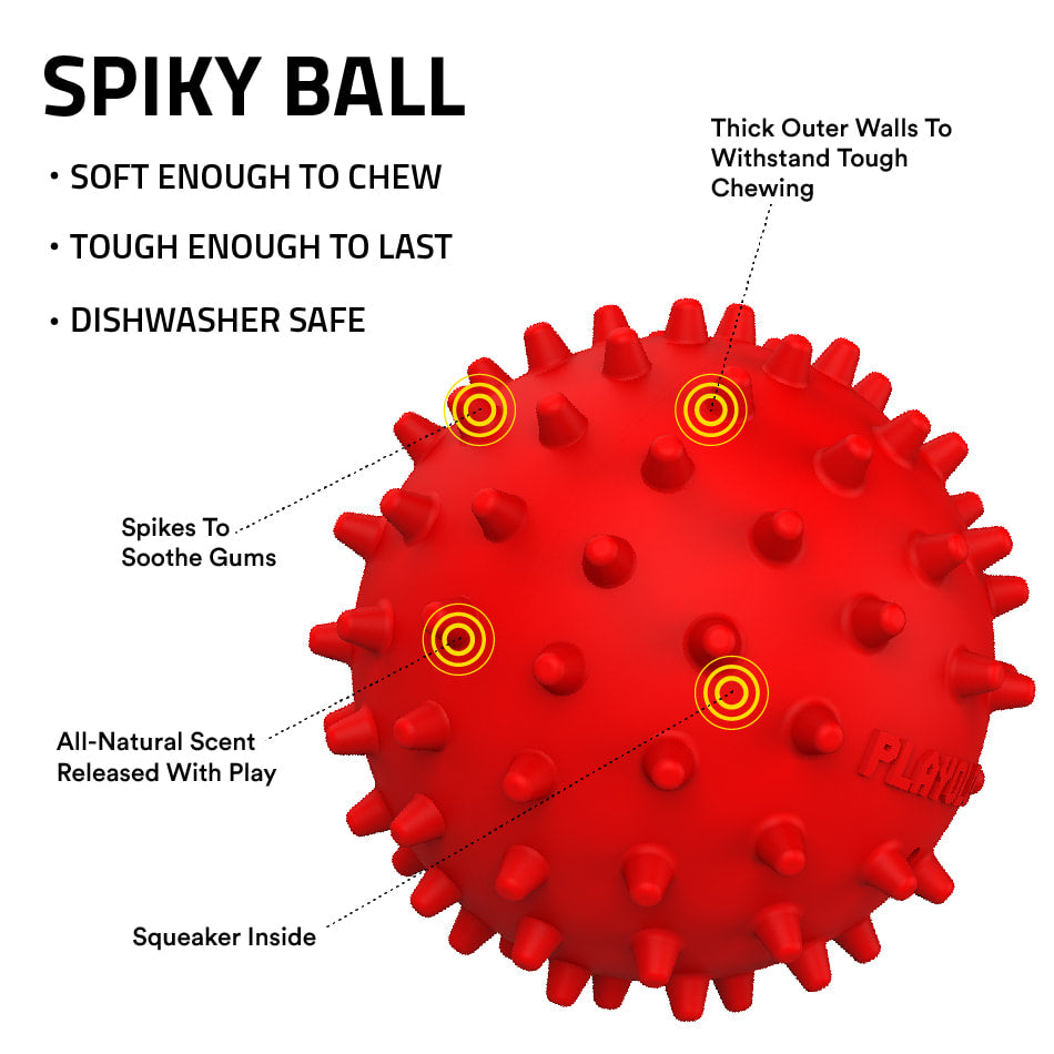
                  
                    Spiky Ball
                  
                