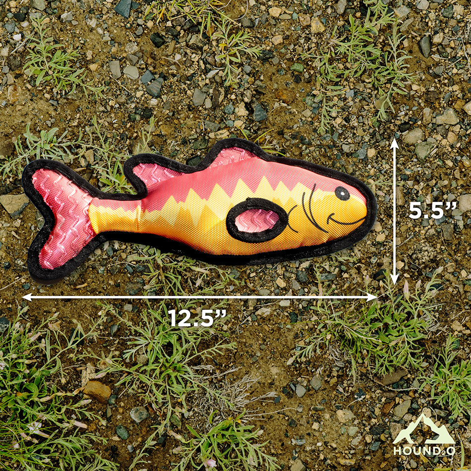 Bass Fish – Playology