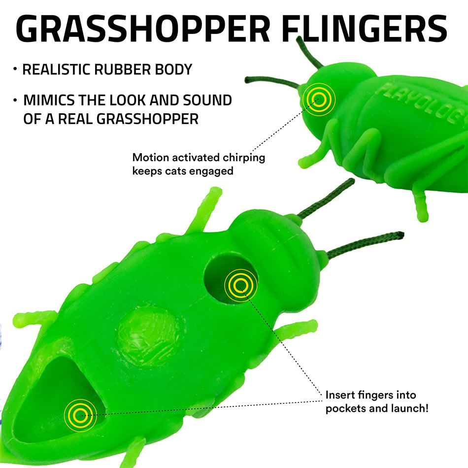 
                  
                    Chirping Grasshoppers
                  
                