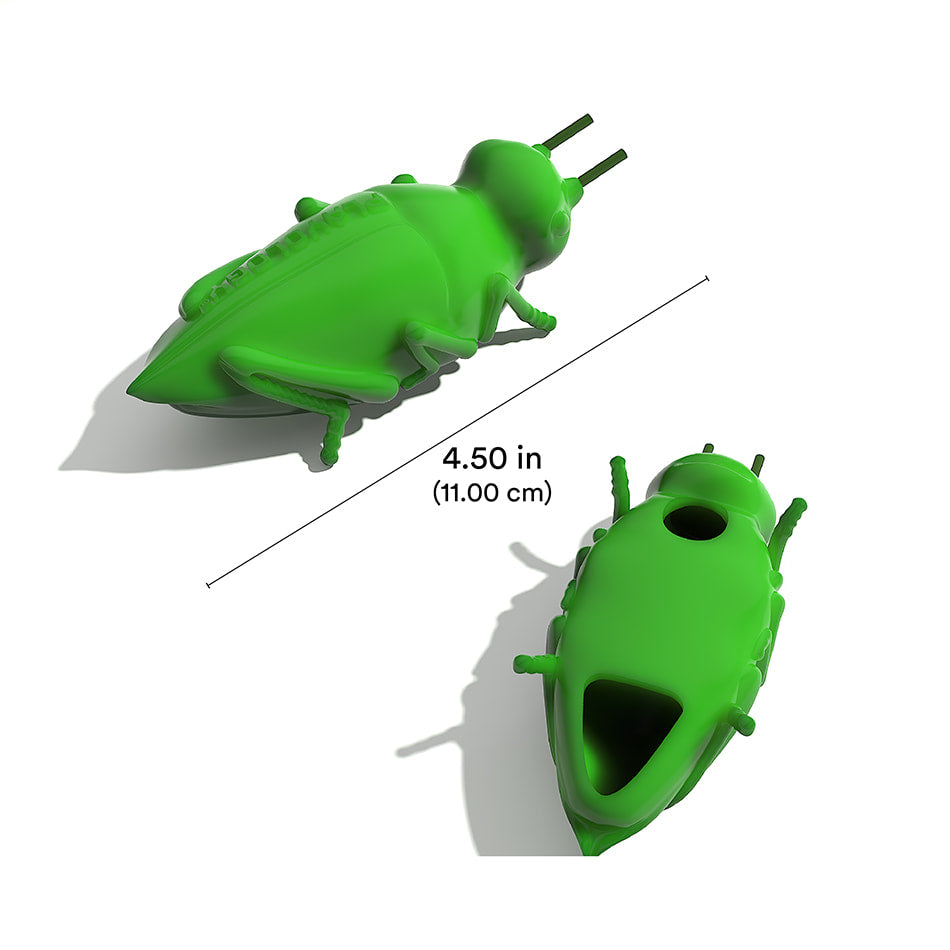 
                  
                    Chirping Grasshoppers
                  
                