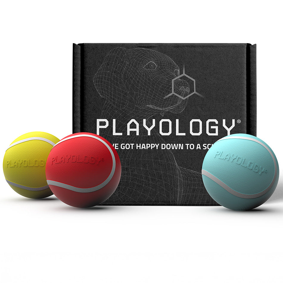 Rainbow of Scent - Squeaky Chew Ball Box