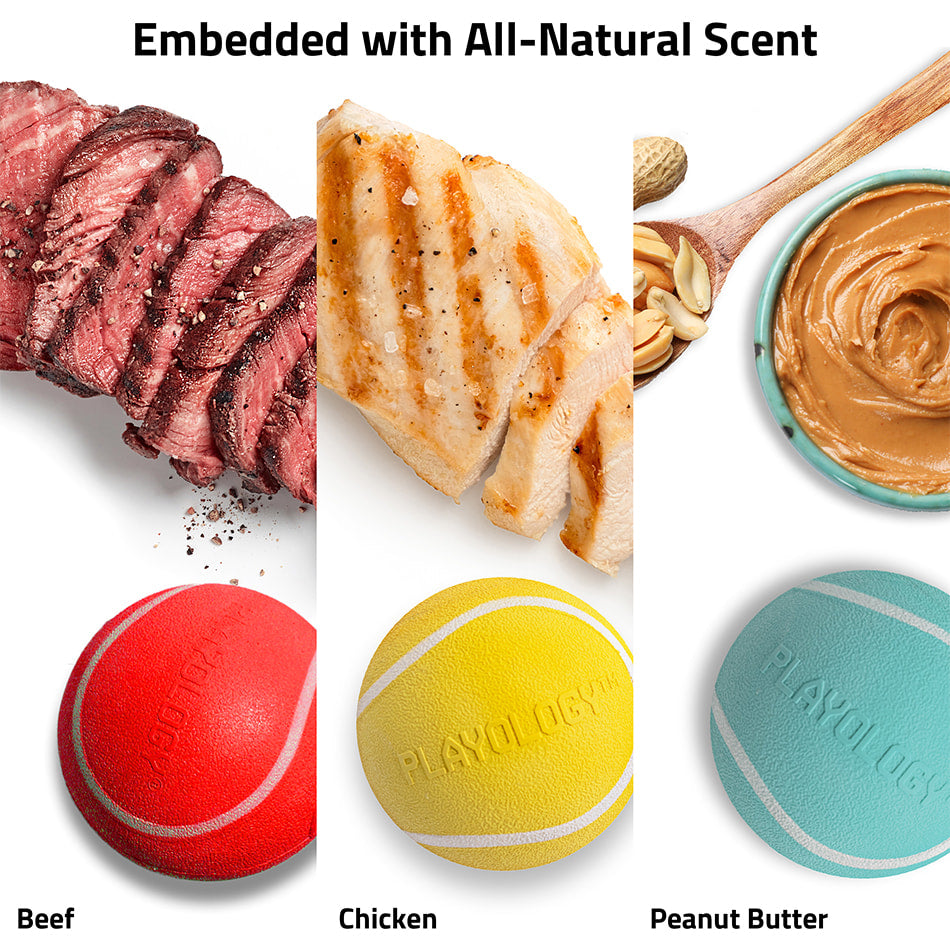 
                  
                    Rainbow of Scent - Squeaky Chew Ball Box
                  
                