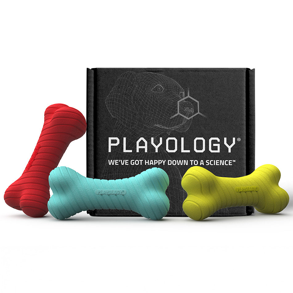 Rainbow of Scent - Dual Layer Bone Box