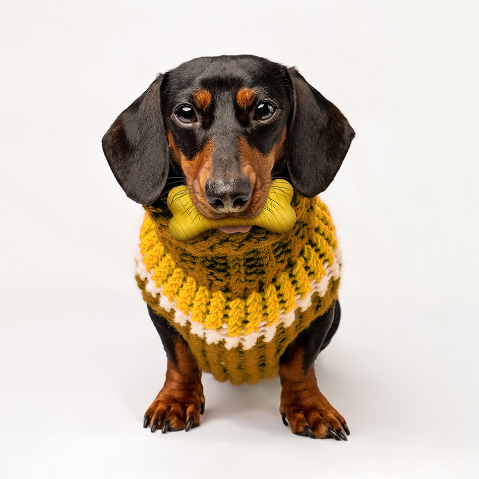 
                  
                    Dual Layer Bone | Apple Cider
                  
                