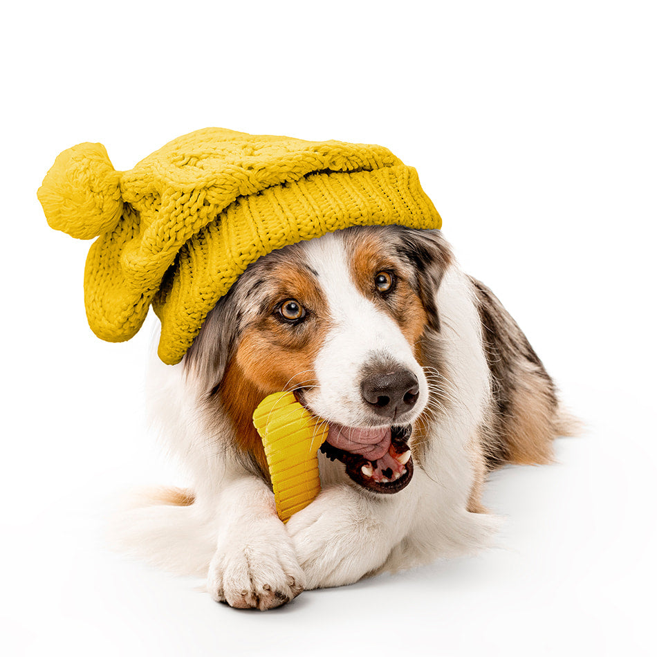 
                  
                    Dual Layer Bone | Apple Cider
                  
                