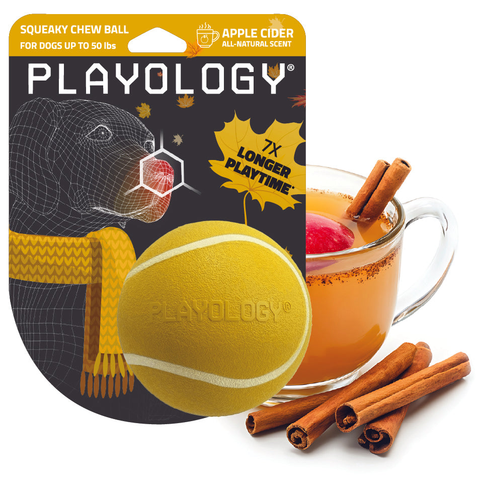 Squeaky Chew Ball | Apple Cider