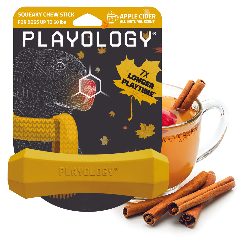 Squeaky Chew Stick | Apple Cider