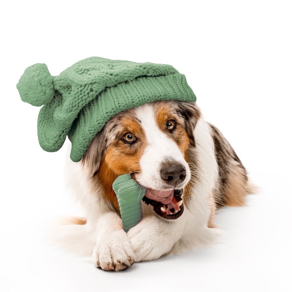 
                  
                    Dual Layer Bone | Sage & Squash
                  
                