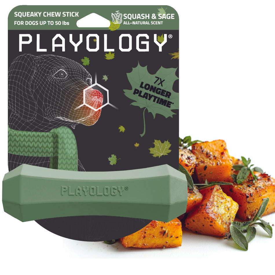 Squeaky Chew Stick | Squash & Sage