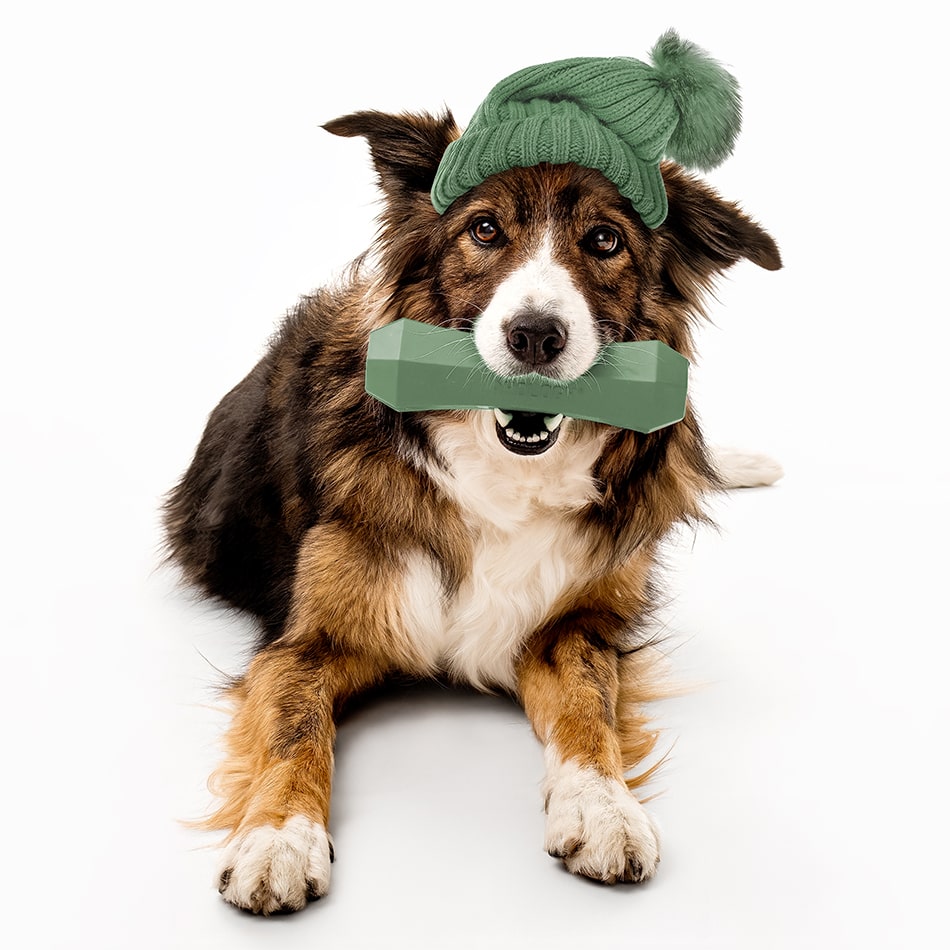 
                  
                    Squeaky Chew Stick | Squash & Sage
                  
                