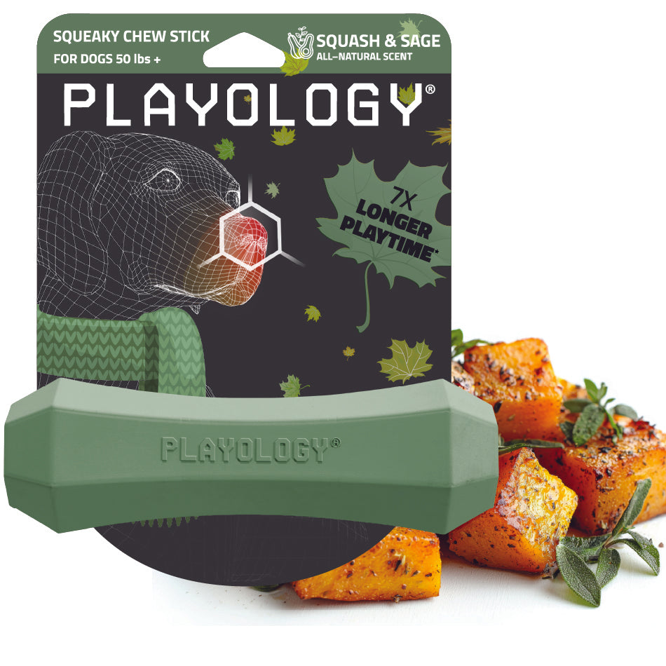 
                  
                    Squeaky Chew Stick | Squash & Sage
                  
                