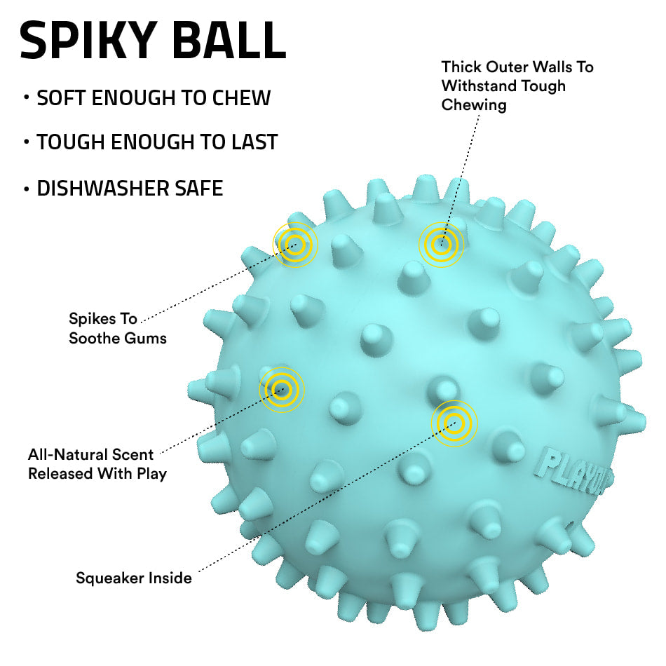 
                  
                    Spiky Ball
                  
                
