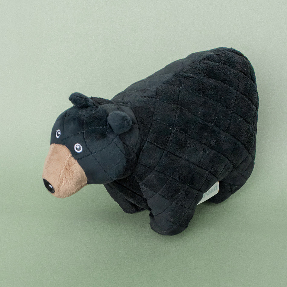 Brandy the Black Bear