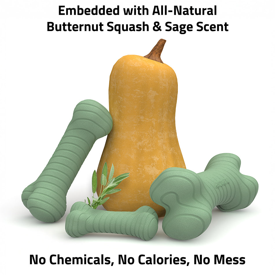 
                  
                    Dual Layer Bone | Sage & Squash
                  
                