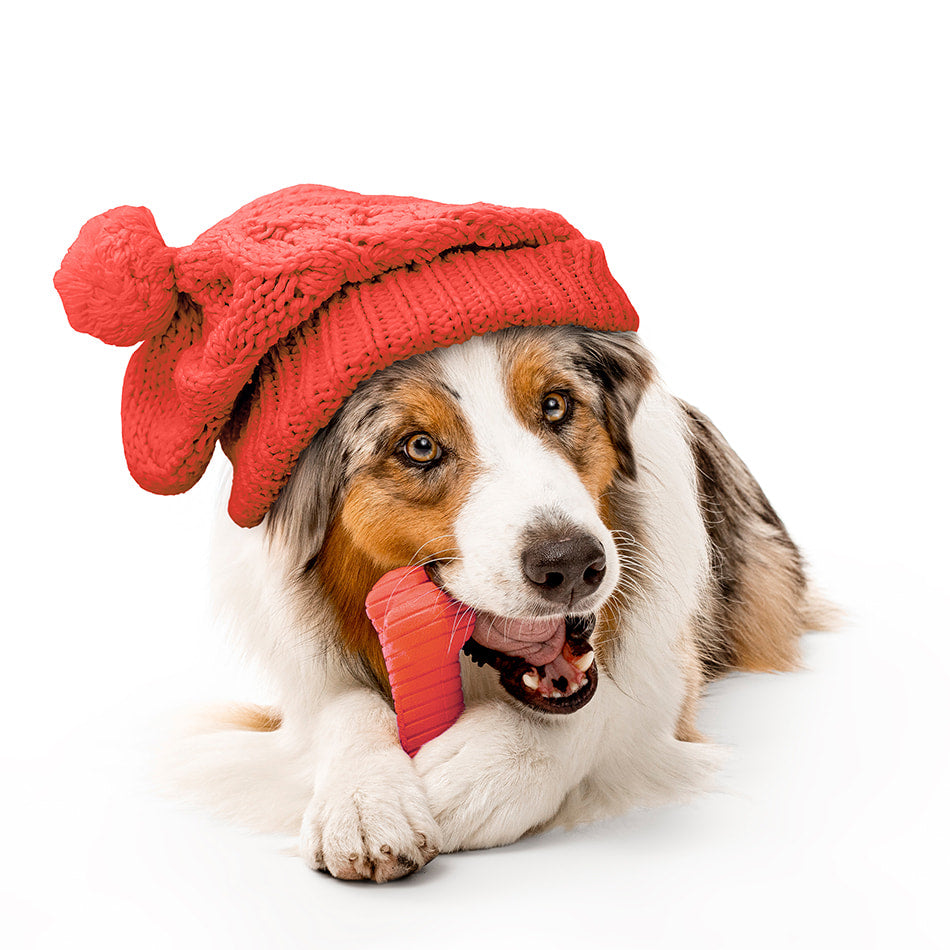 
                  
                    Dual Layer Bone | Grandma's Gravy
                  
                