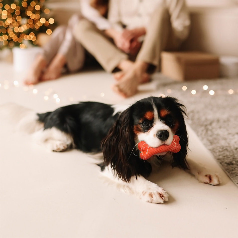 
                  
                    Dual Layer Bone | Grandma's Gravy
                  
                