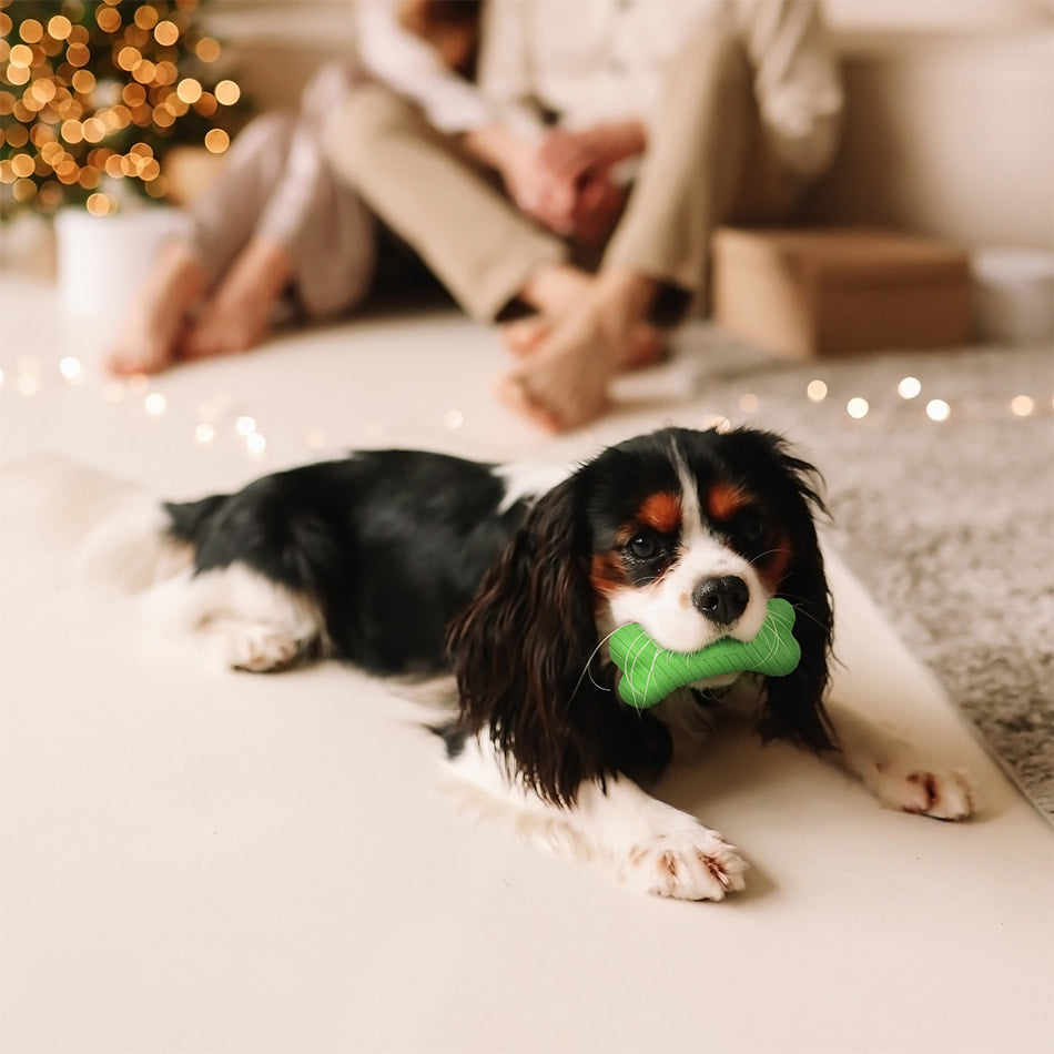 
                  
                    Dual Layer Bone | Mom's Turkey
                  
                