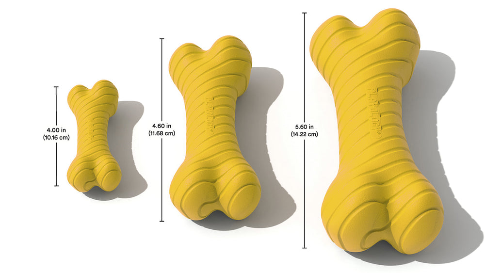 
                  
                    Dual Layer Bone | Apple Cider
                  
                